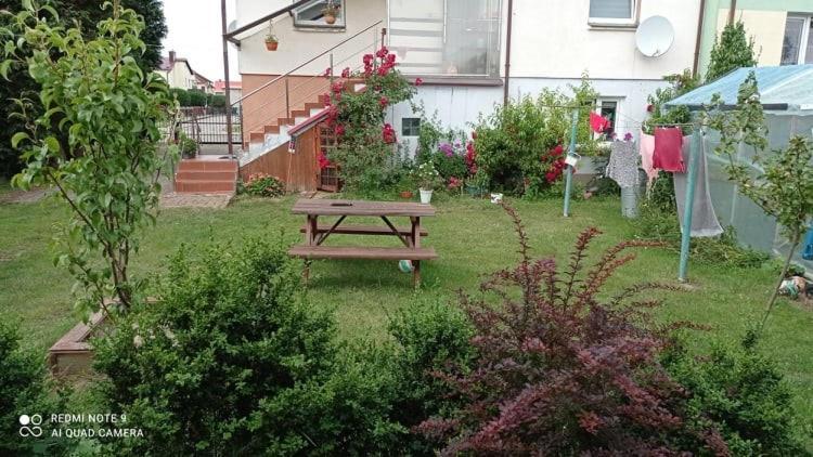 Domki Letniskowe U Janka Ustronie Morskie Exterior foto